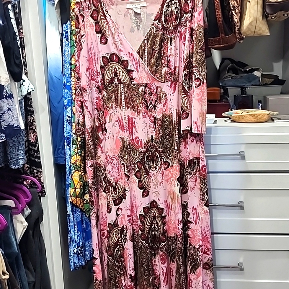 Aa Studio Pink and Brown Paisley Maxi Dress